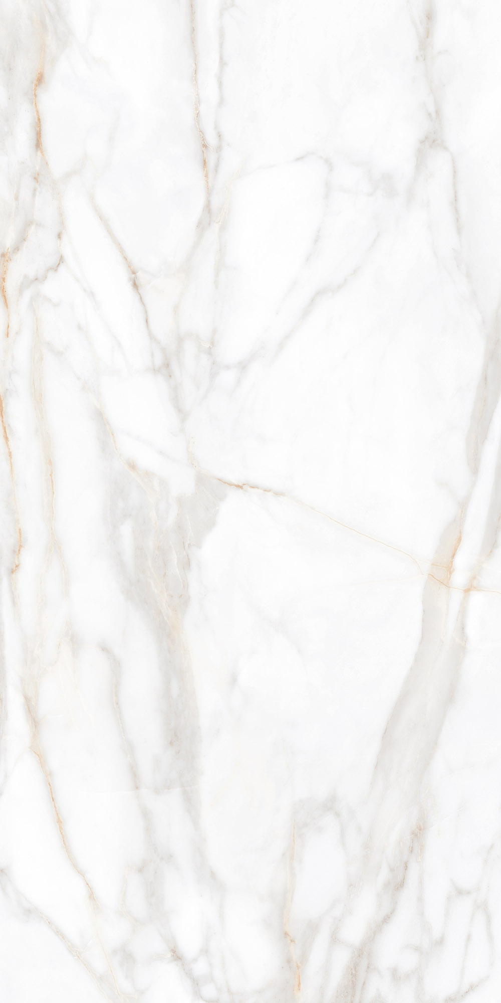 Плитка из керамогранита sm02 60x120x9 непол.рект. (керамический гранит)