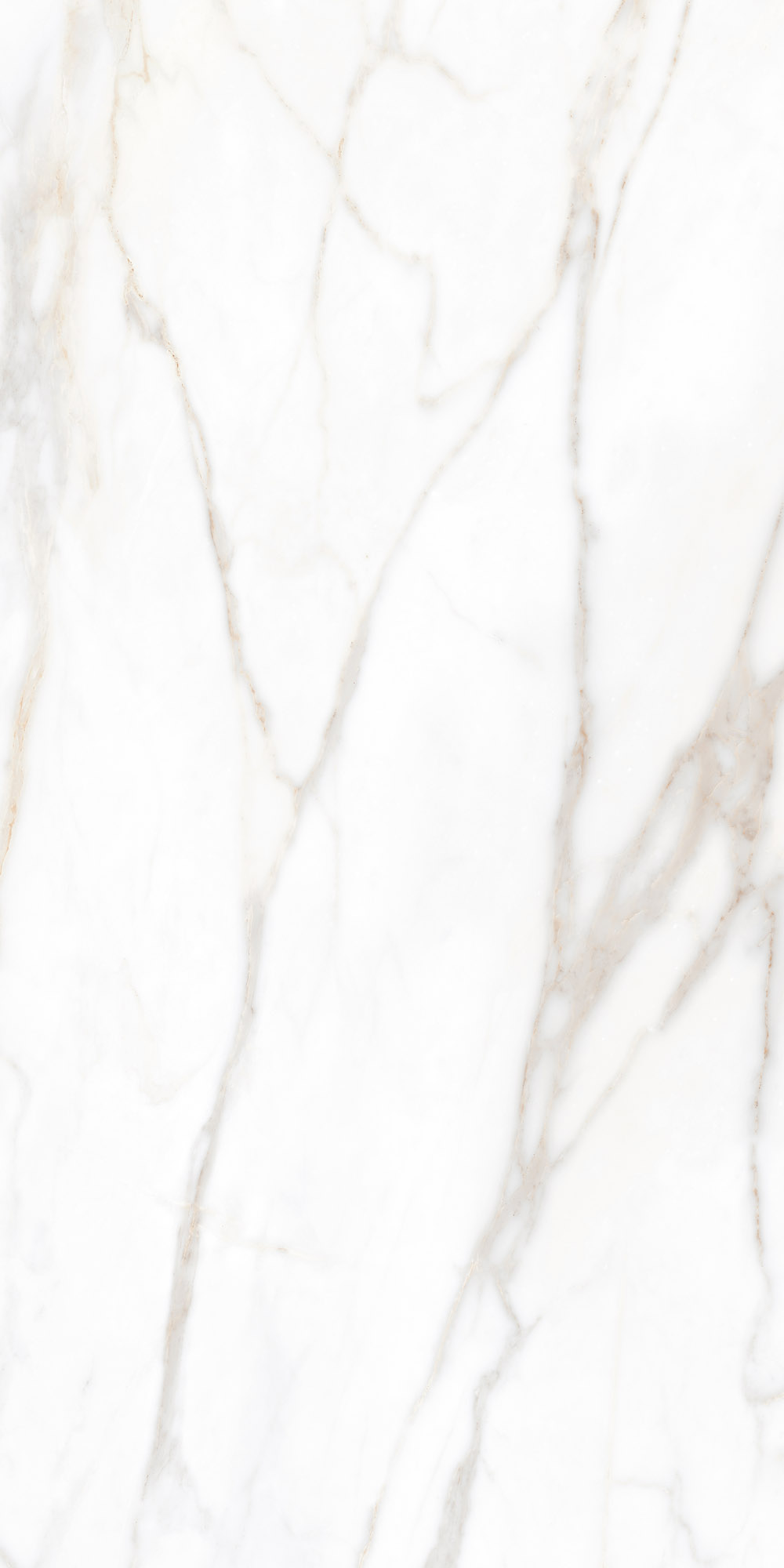 Плитка из керамогранита sm02 60x120x9 непол.рект. (керамический гранит)