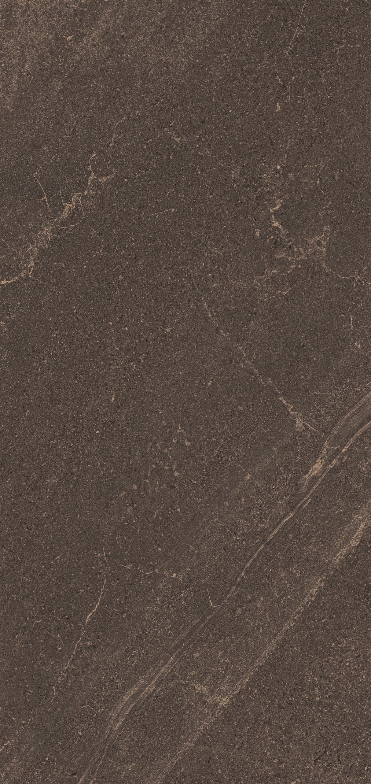 Плитка из керамогранита gb04 80x160x10 непол.рект. (керамический гранит)