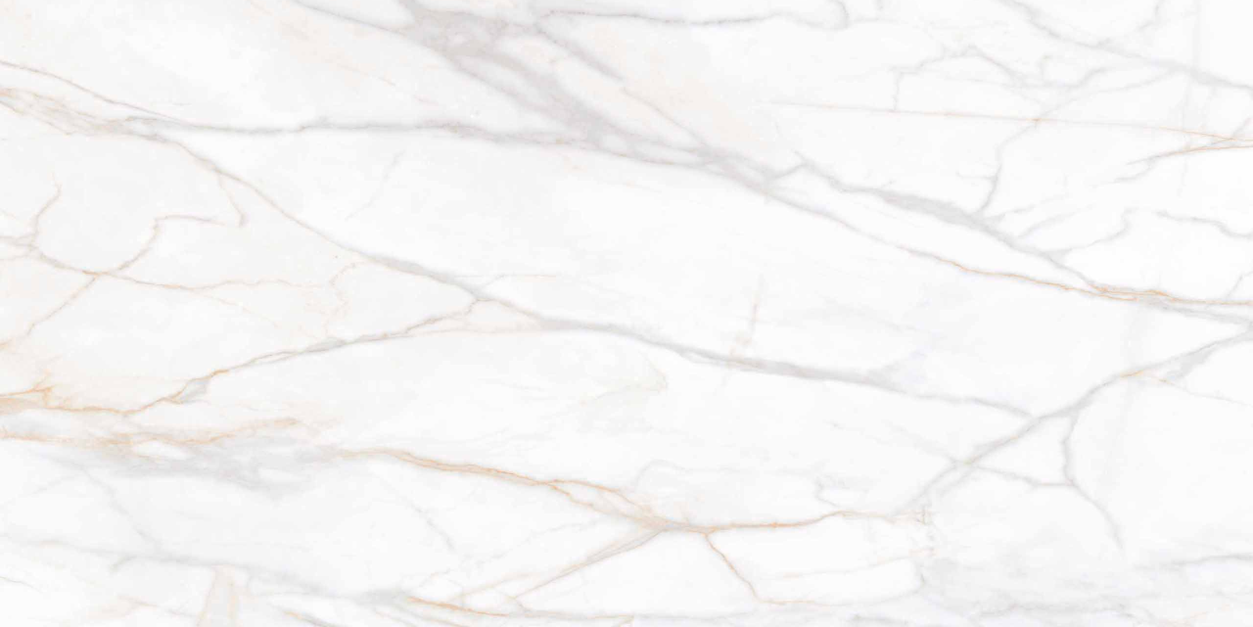 Плитка из керамогранита sm02 80x160x11 непол.рект. (керамический гранит)