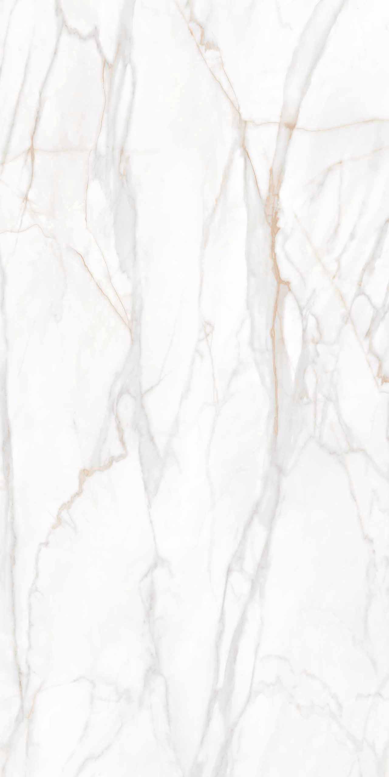 Плитка из керамогранита sm02 80x160x10 непол.рект. (керамический гранит)