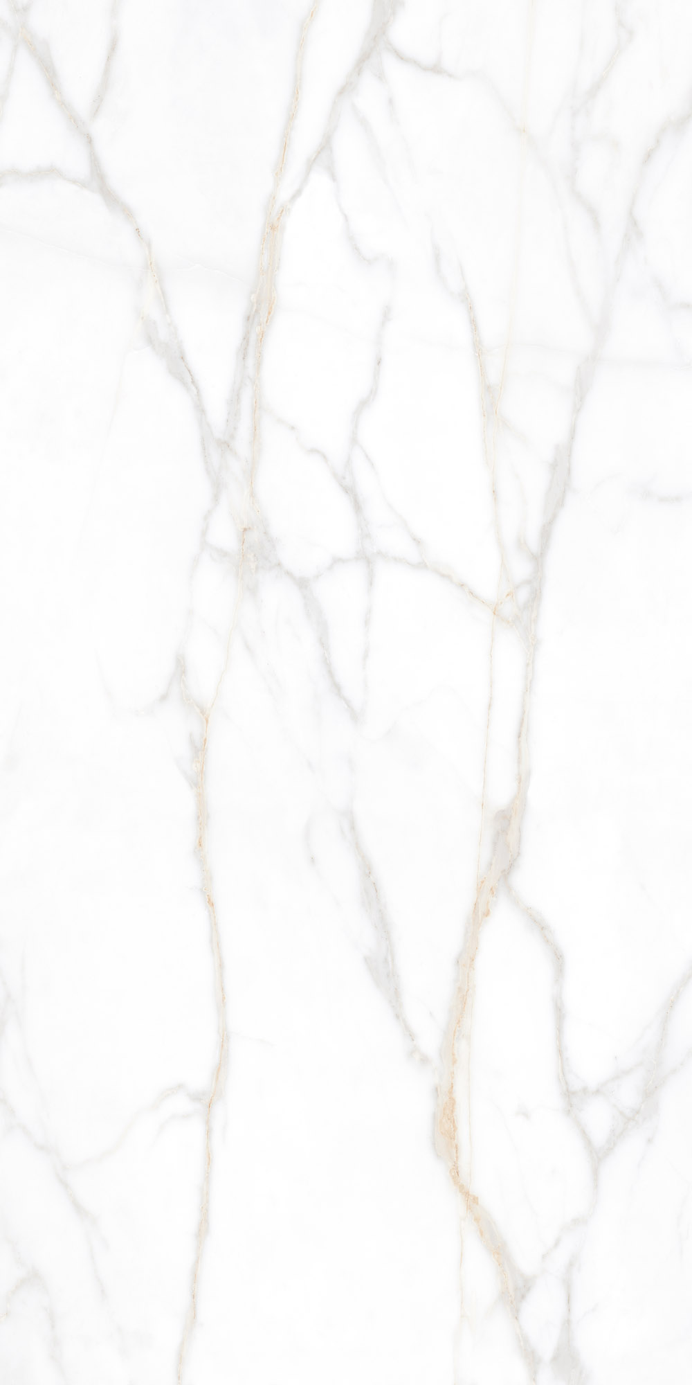 Плитка из керамогранита sm02 60x120x9 непол.рект. (керамический гранит)